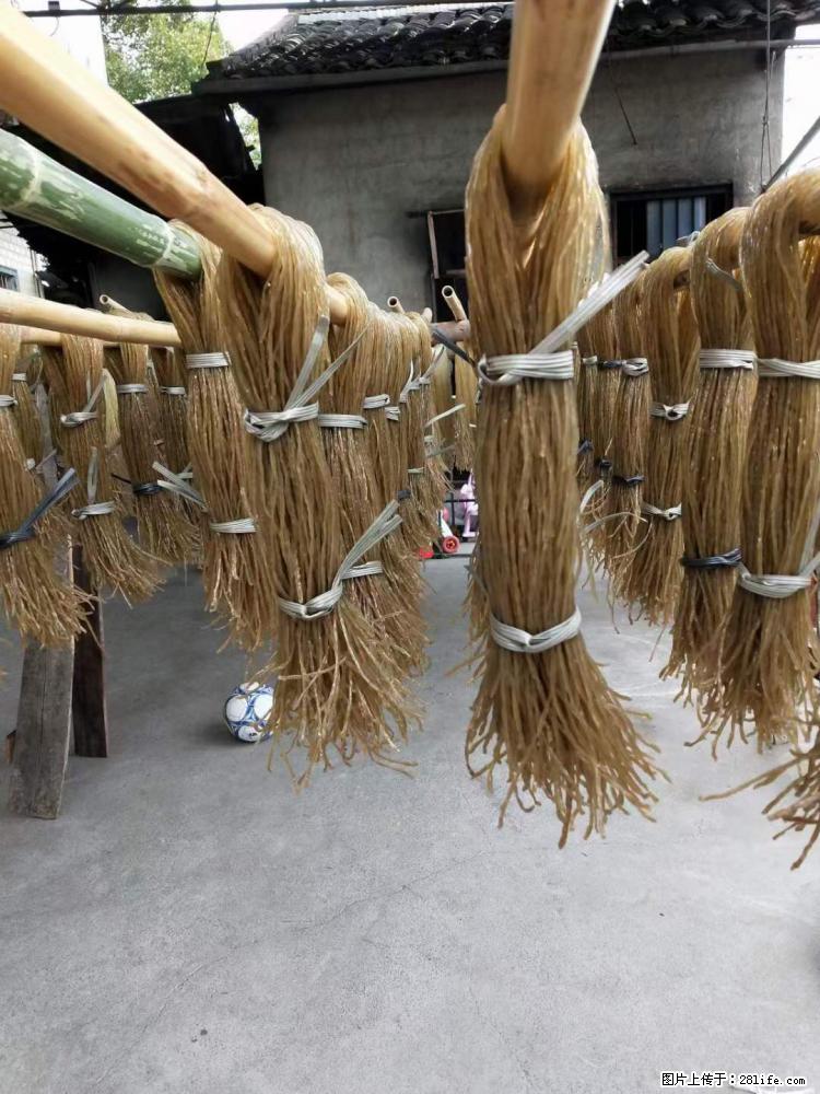 【灌阳正宗红薯粉】美女家里自己做的，干净卫生，假一赔十，价格合理，抢购电话：13737312895 - 美食天地 - 定州生活社区 - 定州28生活网 dingzhou.28life.net