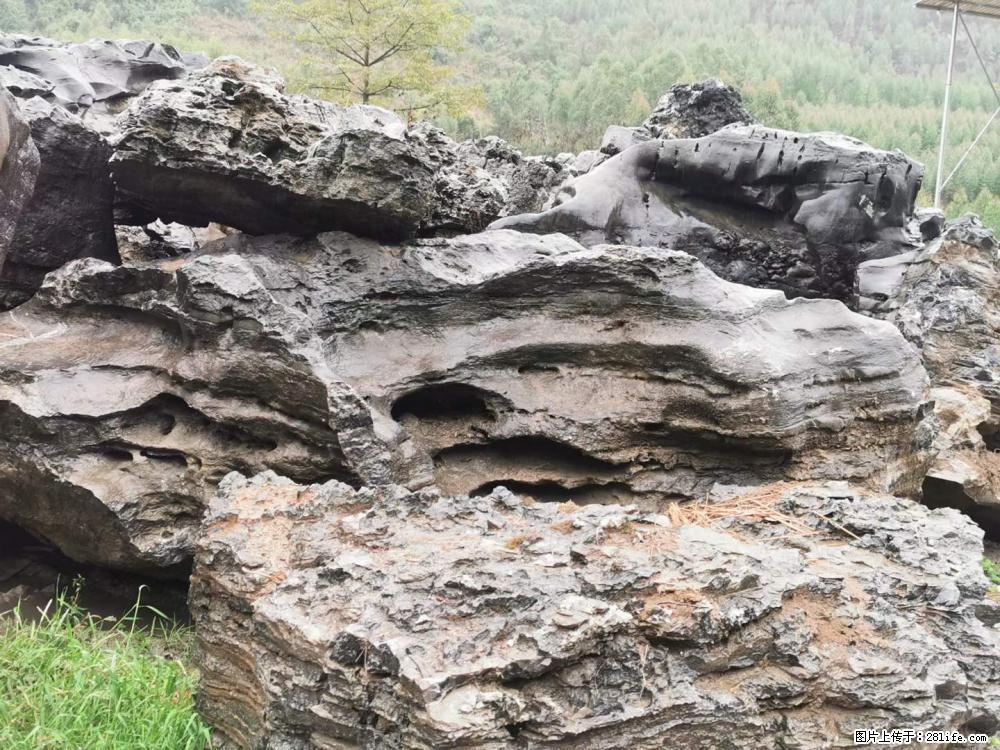 风景石、假山石大量有货，有需要的欢迎联系 - 新手上路 - 定州生活社区 - 定州28生活网 dingzhou.28life.net