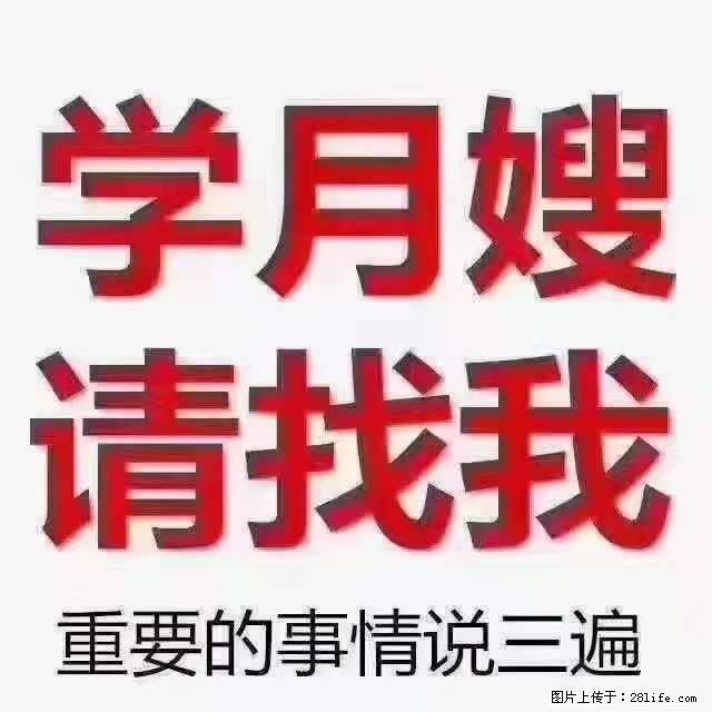 为什么要学习月嫂，育婴师？ - 其他广告 - 广告专区 - 定州分类信息 - 定州28生活网 dingzhou.28life.net