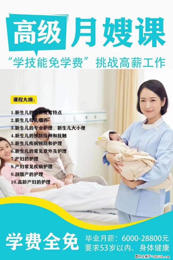 为什么要学习月嫂，育婴师？ - 其他广告 - 广告专区 - 定州分类信息 - 定州28生活网 dingzhou.28life.net