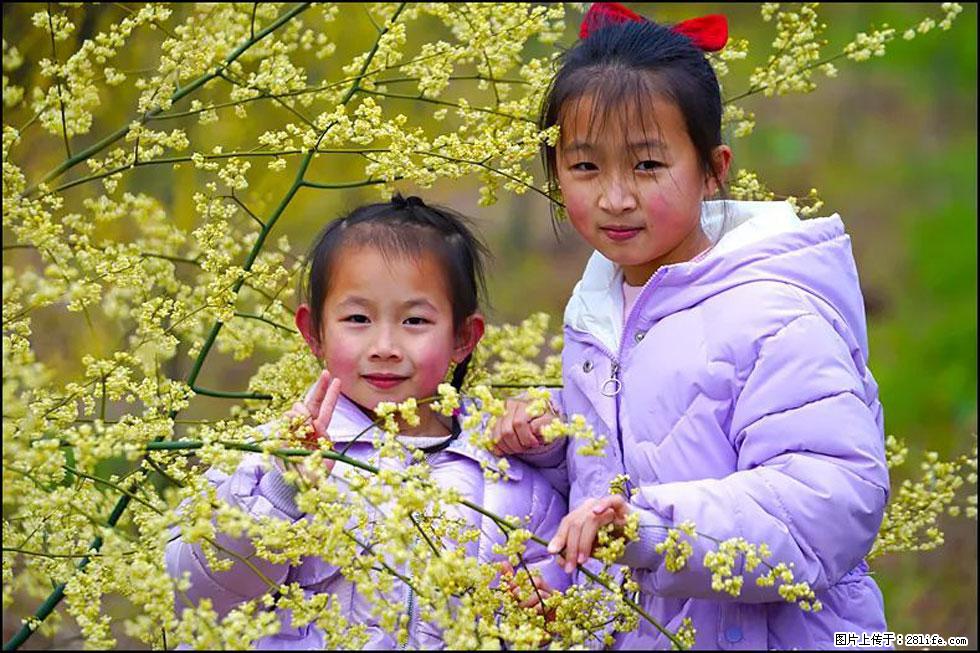 【春天，广西桂林灌阳县向您发出邀请！】米珠山前有片山苍子花在飘香 - 游山玩水 - 定州生活社区 - 定州28生活网 dingzhou.28life.net