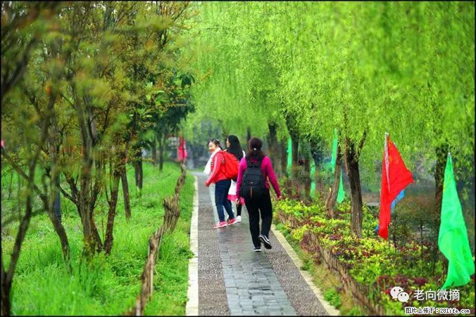 【春天，广西桂林灌阳县向您发出邀请！】江口老街又逢春 - 游山玩水 - 定州生活社区 - 定州28生活网 dingzhou.28life.net