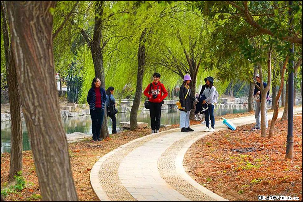 【春天，广西桂林灌阳县向您发出邀请！】江口老街又逢春 - 游山玩水 - 定州生活社区 - 定州28生活网 dingzhou.28life.net
