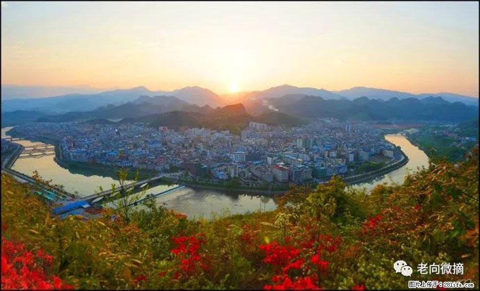 【春天，广西桂林灌阳县向您发出邀请！】登麒麟山，相约映山红 - 游山玩水 - 定州生活社区 - 定州28生活网 dingzhou.28life.net