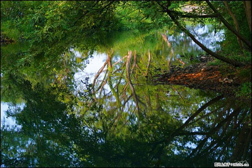 【春天，广西桂林灌阳县向您发出邀请！】熊家寨湿地公园 - 游山玩水 - 定州生活社区 - 定州28生活网 dingzhou.28life.net