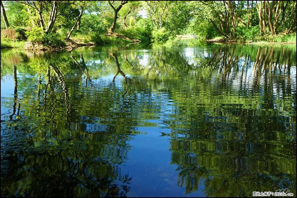 【春天，广西桂林灌阳县向您发出邀请！】熊家寨湿地公园 - 游山玩水 - 定州生活社区 - 定州28生活网 dingzhou.28life.net