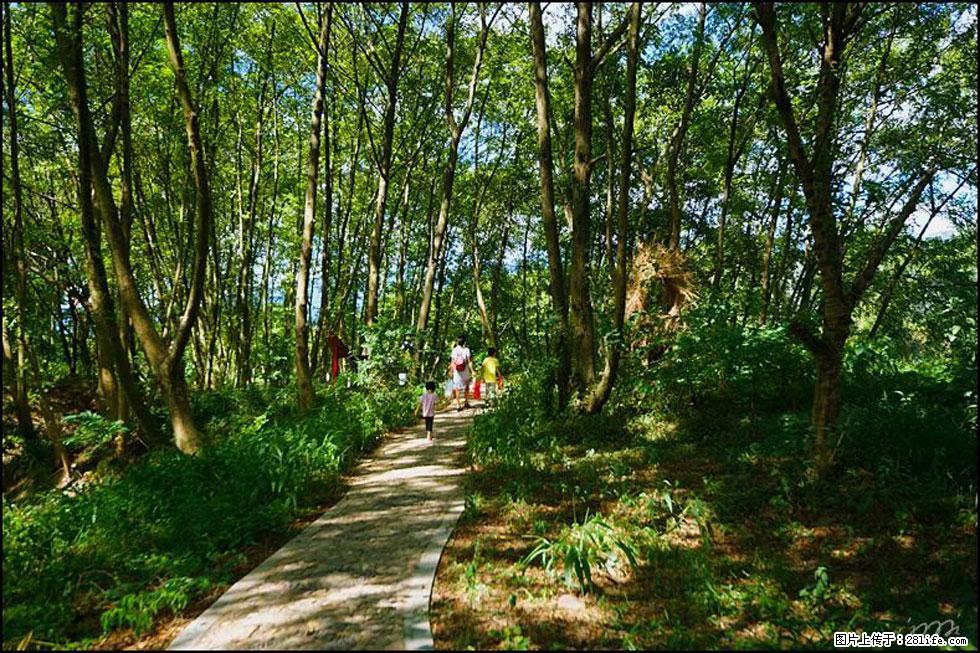 【春天，广西桂林灌阳县向您发出邀请！】熊家寨湿地公园 - 游山玩水 - 定州生活社区 - 定州28生活网 dingzhou.28life.net