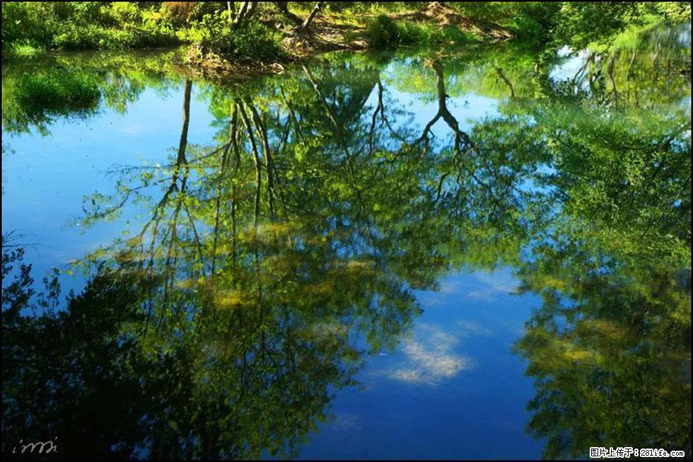 【春天，广西桂林灌阳县向您发出邀请！】熊家寨湿地公园 - 游山玩水 - 定州生活社区 - 定州28生活网 dingzhou.28life.net