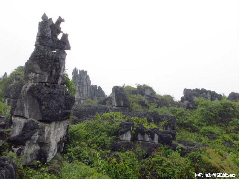 桂林旅游名城景点：灌阳文市石林 - 游山玩水 - 定州生活社区 - 定州28生活网 dingzhou.28life.net