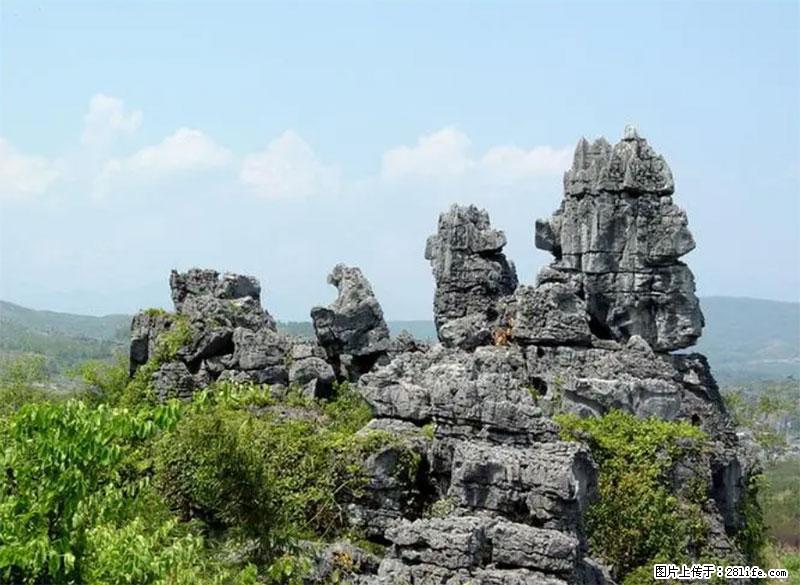 桂林旅游名城景点：灌阳文市石林 - 游山玩水 - 定州生活社区 - 定州28生活网 dingzhou.28life.net