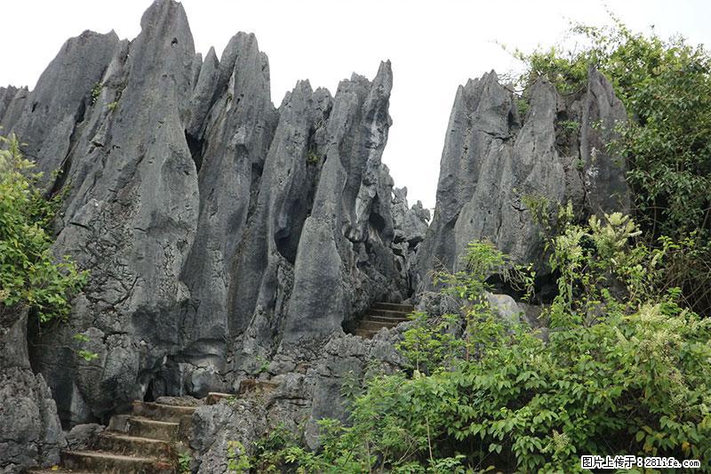 桂林旅游名城景点：灌阳文市石林 - 游山玩水 - 定州生活社区 - 定州28生活网 dingzhou.28life.net