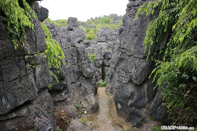 桂林旅游名城景点：灌阳文市石林 - 游山玩水 - 定州生活社区 - 定州28生活网 dingzhou.28life.net