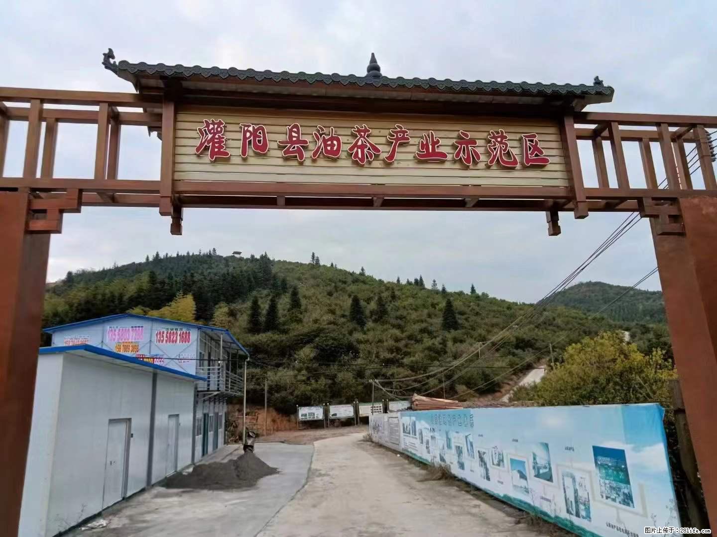 【灌阳县油茶产业示范区】一个有着充实的精神生活的人，对待身外之物自会有一种淡泊的态度 - 美食天地 - 定州生活社区 - 定州28生活网 dingzhou.28life.net
