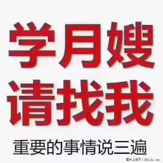 为什么要学习月嫂，育婴师？ - 定州28生活网 dingzhou.28life.net