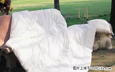 被子有异味？只要这样做，比晒太阳还强100倍！ - 家居生活 - 定州生活社区 - 定州28生活网 dingzhou.28life.net
