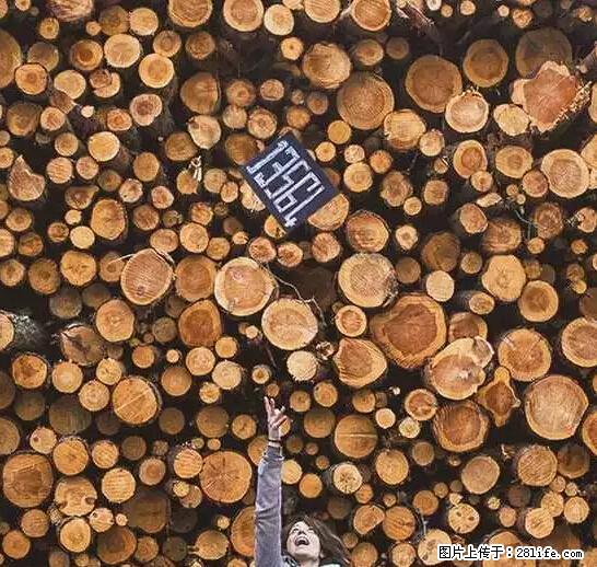 辞掉工作周游世界？现在他们在洗厕所…… - 游山玩水 - 定州生活社区 - 定州28生活网 dingzhou.28life.net