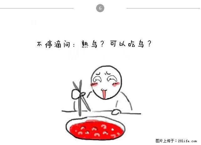 千万不要和这9种哈卵一起吃火锅！ - 美食天地 - 定州生活社区 - 定州28生活网 dingzhou.28life.net