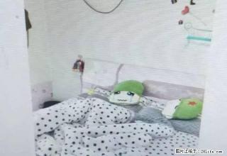 (单间出租)盛世豪庭 经典一室 - 定州28生活网 dingzhou.28life.net