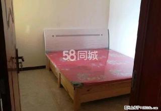 嘉兴园房屋出租家具家电齐全 拎包入住，新房出租。 - 定州28生活网 dingzhou.28life.net