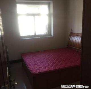 凤翔园精装干净舒适紧邻二中实验中学 - 定州28生活网 dingzhou.28life.net