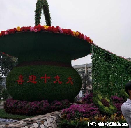 出租火车站附近2室租金1200元 - 房屋出租 - 房屋租售 - 定州分类信息 - 定州28生活网 dingzhou.28life.net