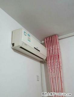 紫锦园 紫竹园 经典2室 家具家电齐全 拎包入住 温馨2室 - 定州28生活网 dingzhou.28life.net