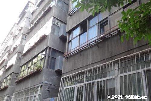 烟草公司家属院 3室1厅1卫 - 房屋出租 - 房屋租售 - 定州分类信息 - 定州28生活网 dingzhou.28life.net