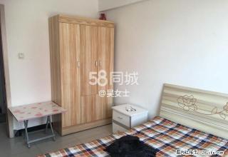 盛世 1室1厅1卫 - 定州28生活网 dingzhou.28life.net
