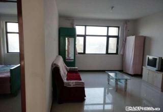 明月豪苑3期 领秀城 1居室 家具家电齐全 拎包入住 - 定州28生活网 dingzhou.28life.net