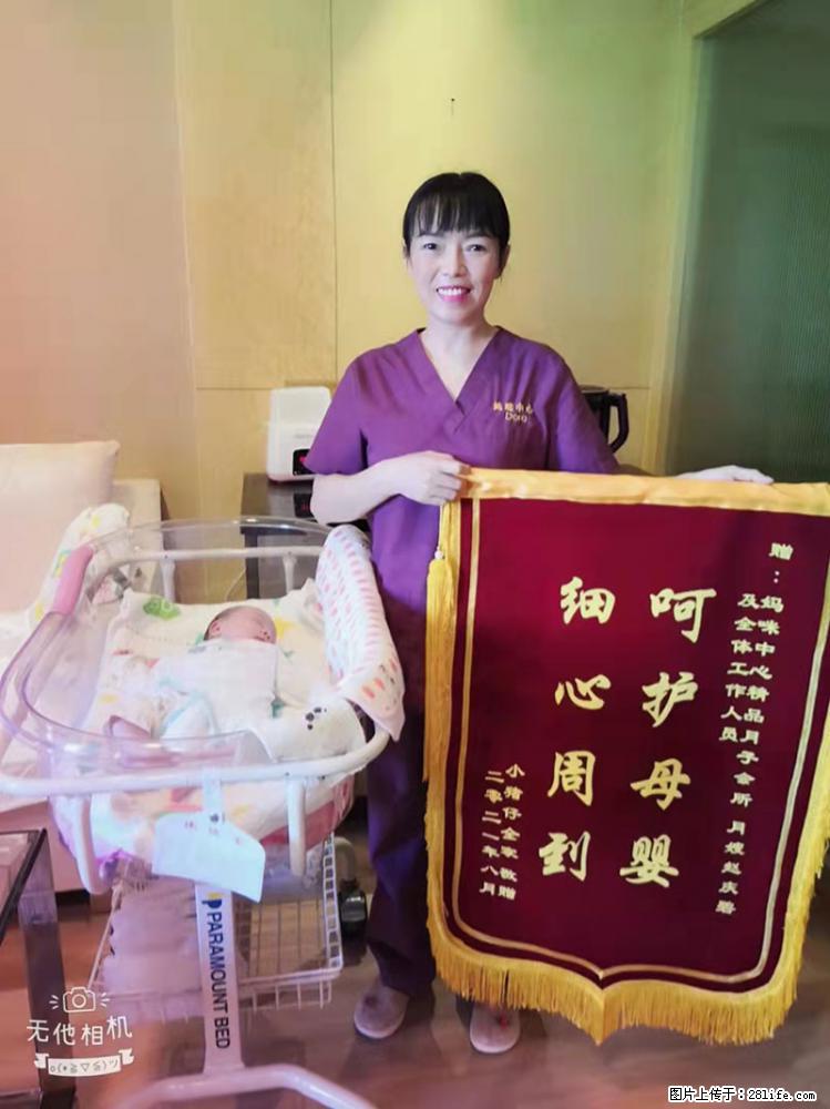 上海高端月子会所招新手月嫂，零基础带教，包吃住 - 职场交流 - 定州生活社区 - 定州28生活网 dingzhou.28life.net