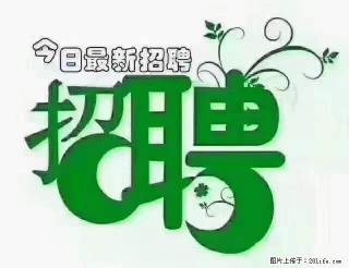 【招聘摄像师】待遇：试用期6000元/月，转正7000元/月+五险一金+餐补+节日福利+奖金 - 定州28生活网 dingzhou.28life.net