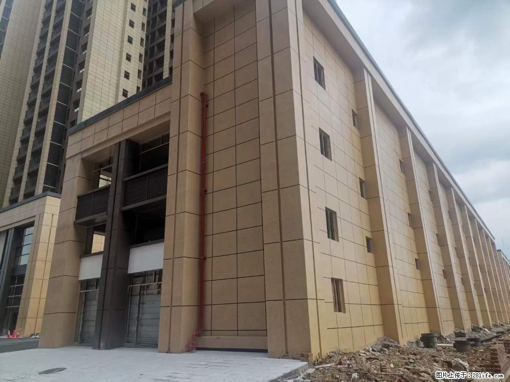 【广西三象建筑安装工程有限公司】外墙涂料工程 - 新手上路 - 定州生活社区 - 定州28生活网 dingzhou.28life.net