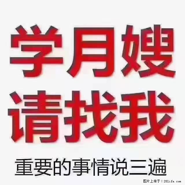 【招聘】月嫂，上海徐汇区 - 职场交流 - 定州生活社区 - 定州28生活网 dingzhou.28life.net