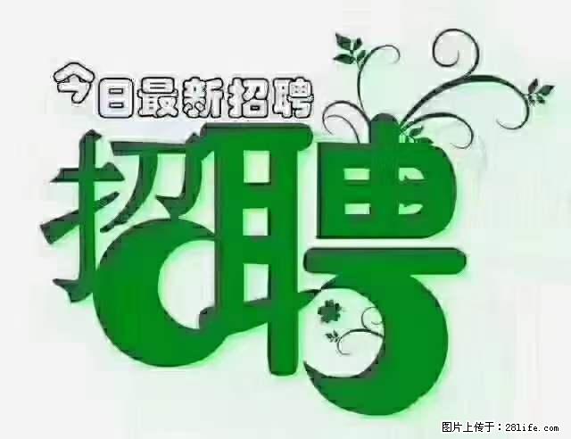 上海隔离酒店招人：55岁以下 男女不限 - 职场交流 - 定州生活社区 - 定州28生活网 dingzhou.28life.net