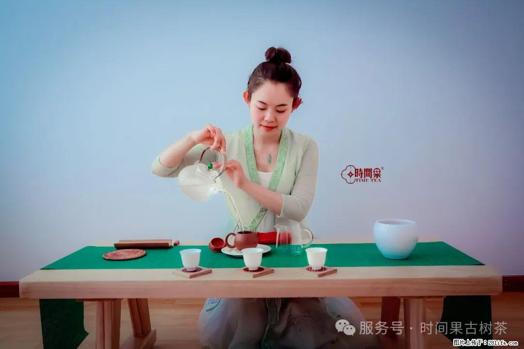 时间果百年古树龙珠普洱生茶 - 购物交流 - 定州生活社区 - 定州28生活网 dingzhou.28life.net