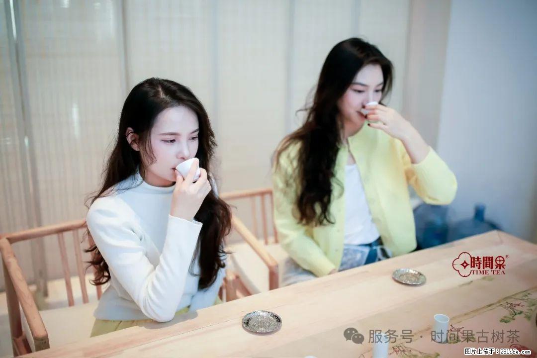 时间果百年古树龙珠普洱生茶 - 购物交流 - 定州生活社区 - 定州28生活网 dingzhou.28life.net
