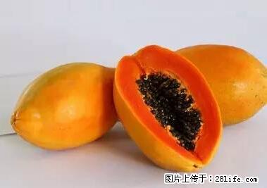 晕车、脚气、牙齿变黄、皮肤粗糙？学会这些三分钟搞定！ - 定州生活资讯 - 定州28生活网 dingzhou.28life.net