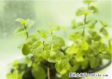晕车、脚气、牙齿变黄、皮肤粗糙？学会这些三分钟搞定！ - 定州生活资讯 - 定州28生活网 dingzhou.28life.net