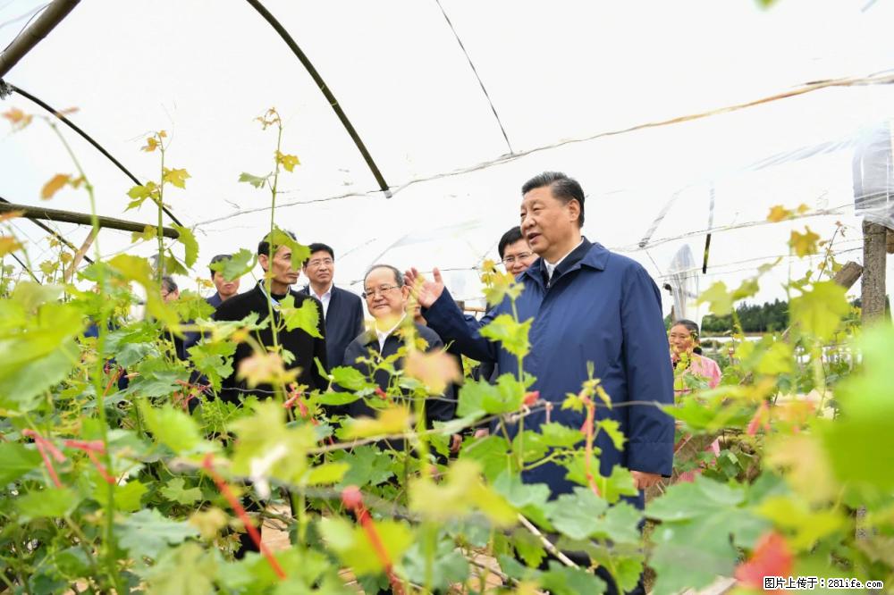 习近平赴广西考察调研 - 定州生活资讯 - 定州28生活网 dingzhou.28life.net