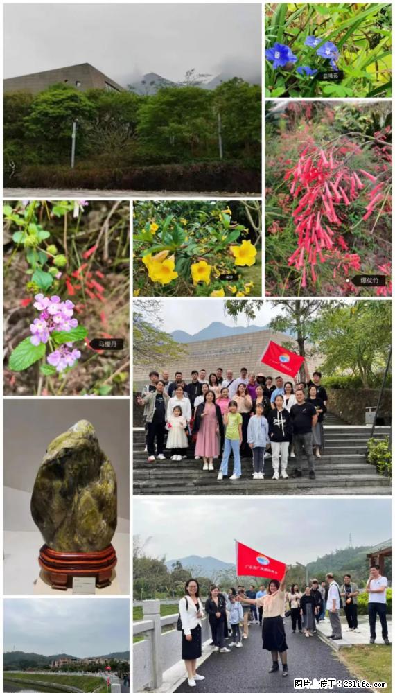 “粤灌文化 美好生活”油茶文化主题活动在广东深圳成功举办 - 定州生活资讯 - 定州28生活网 dingzhou.28life.net