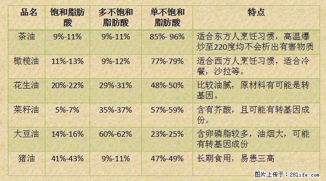 揭秘茶油的5大核心营养成分！被称为人体健康的“守护盾”！ - 定州生活资讯 - 定州28生活网 dingzhou.28life.net