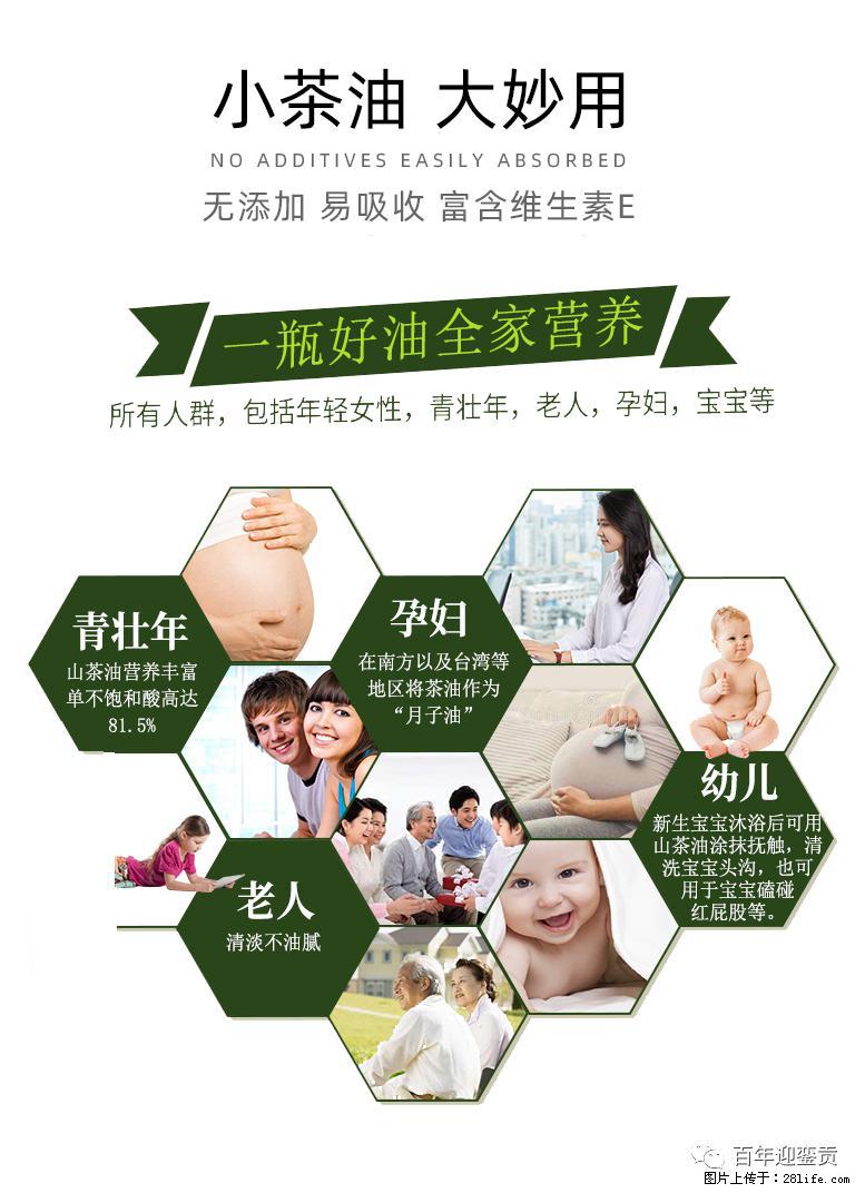世界没有真相，只有认知，最好的食用油是中国的山茶油！ - 定州生活资讯 - 定州28生活网 dingzhou.28life.net