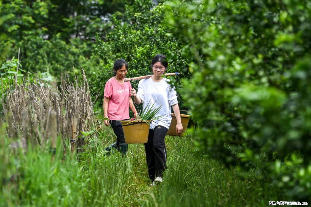 全网追的“扁担女孩”，找了一份暑假工，时薪12元 - 定州生活资讯 - 定州28生活网 dingzhou.28life.net