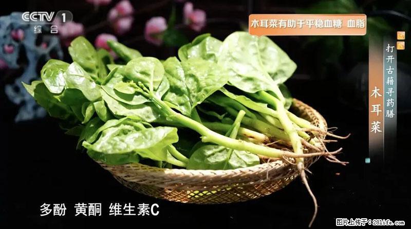 比牛奶补钙还厉害！凉血解毒、稳血糖...这菜冬天必吃，很多人却当草 - 定州生活资讯 - 定州28生活网 dingzhou.28life.net