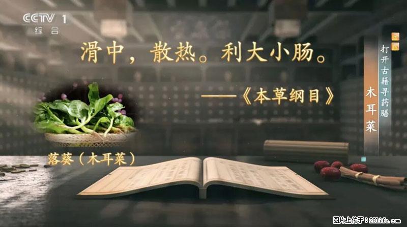 比牛奶补钙还厉害！凉血解毒、稳血糖...这菜冬天必吃，很多人却当草 - 定州生活资讯 - 定州28生活网 dingzhou.28life.net