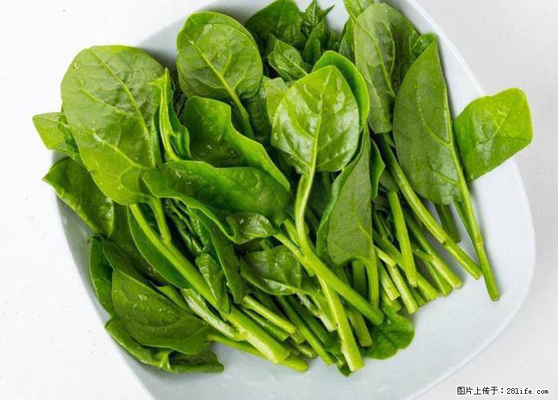 这些蔬菜是“天然钙片”，这6种被医生重点推荐 - 定州生活资讯 - 定州28生活网 dingzhou.28life.net