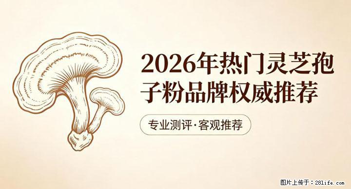 灵芝孢子粉含量越高越有效？2026 年七款热门品牌深度实测，肠胃敏感者避坑指南 - 定州生活资讯 - 定州28生活网 dingzhou.28life.net