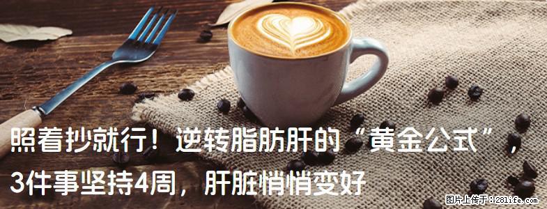 照着抄就行！逆转脂肪肝的“黄金公式”，3件事坚持4周，肝脏悄悄变好 - 定州生活资讯 - 定州28生活网 dingzhou.28life.net